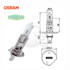 AMPOLLETA, H1, 12V, 55W, (P14,5s),  TRIFA