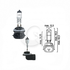 AMPOLLETA, 896, 12V, 37.5W, BASE PGJ13, CURVA